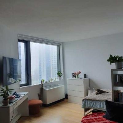 Downtown Brooklyn Studio Apartment