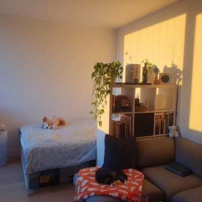 Downtown Brooklyn Studio Apartment