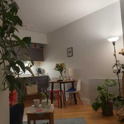 Downtown Brooklyn Studio Apartment